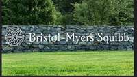 ستاد فرهنگسازی اقتصاد دانش بنیان Bristol Myers' cell therapy manufacturing site in Massachusetts is good to go, FDA says